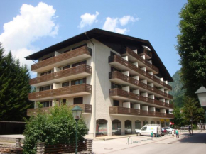 Alpen Apartment Pyrkestrasse Bad Hofgastein
